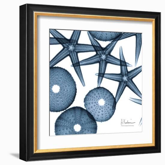 Sea Constellation 4-Albert Koetsier-Framed Art Print