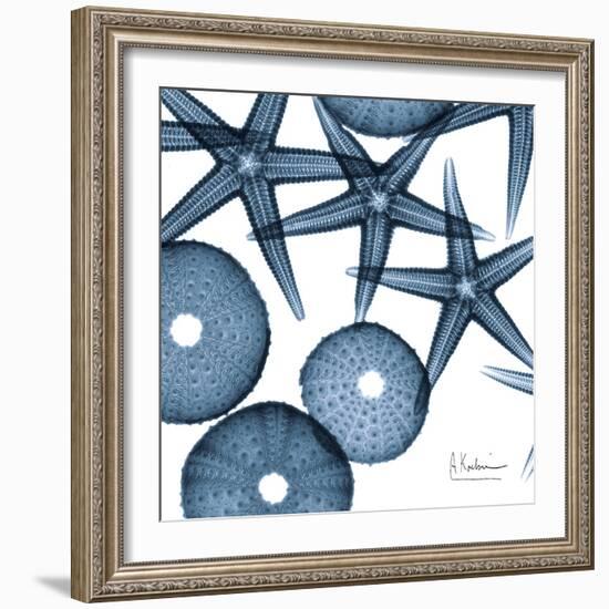 Sea Constellation 4-Albert Koetsier-Framed Art Print