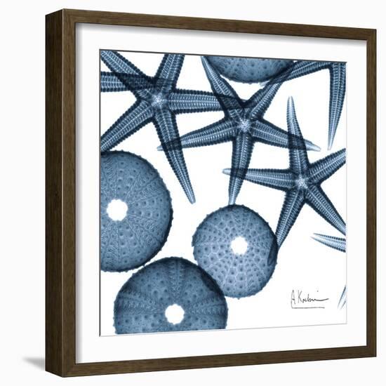 Sea Constellation 4-Albert Koetsier-Framed Art Print