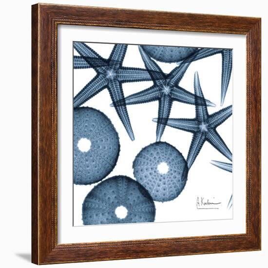 Sea Constellation 4-Albert Koetsier-Framed Art Print