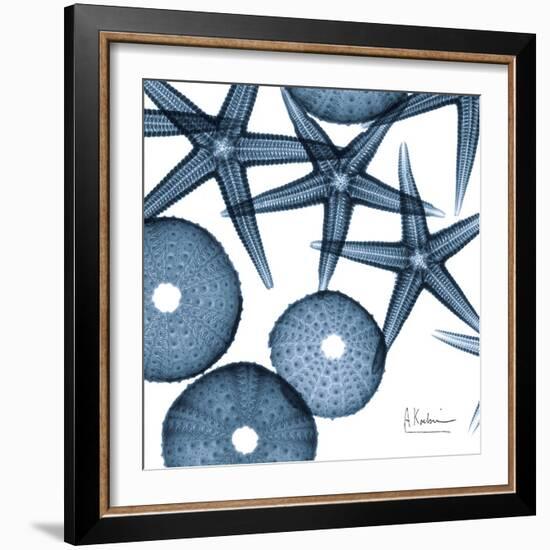 Sea Constellation 4-Albert Koetsier-Framed Art Print