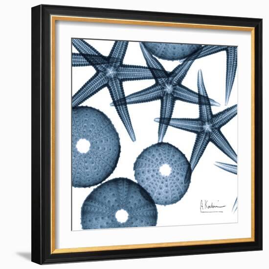 Sea Constellation 4-Albert Koetsier-Framed Art Print