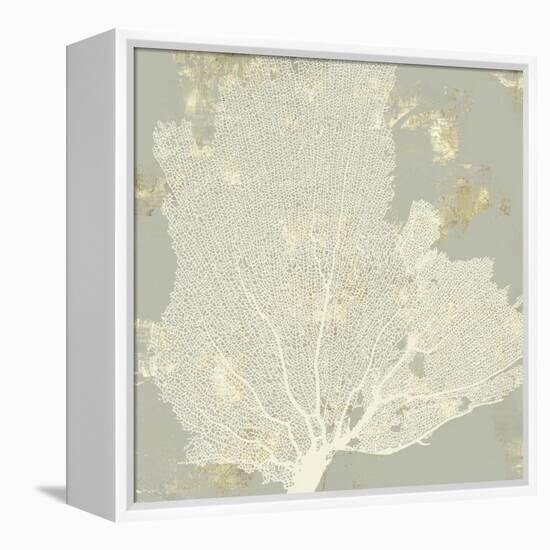 Sea Coral I-Aimee Wilson-Framed Stretched Canvas