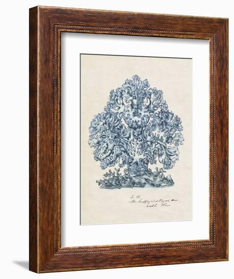 Sea Coral Study II-null-Framed Premium Giclee Print