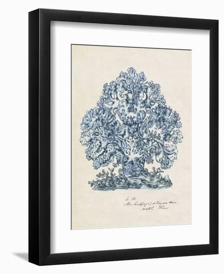 Sea Coral Study II-null-Framed Premium Giclee Print