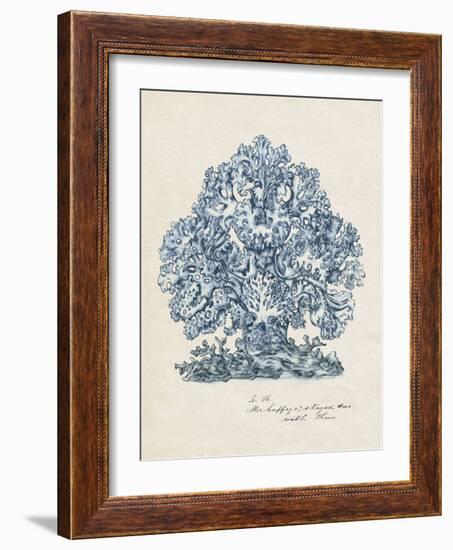 Sea Coral Study II-null-Framed Art Print