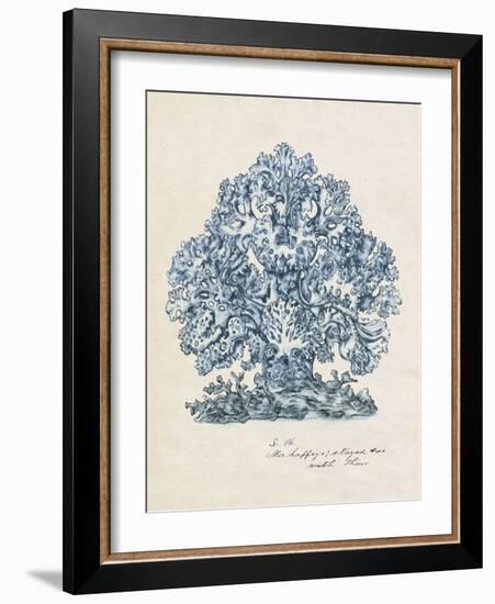 Sea Coral Study II-null-Framed Art Print