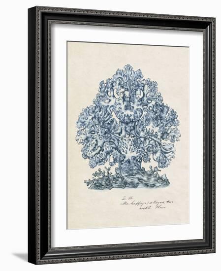 Sea Coral Study II-null-Framed Art Print