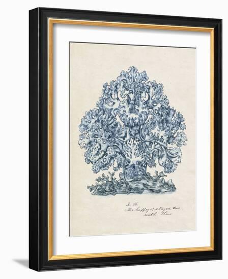 Sea Coral Study II-null-Framed Art Print