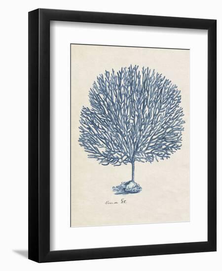 Sea Coral Study III-null-Framed Premium Giclee Print