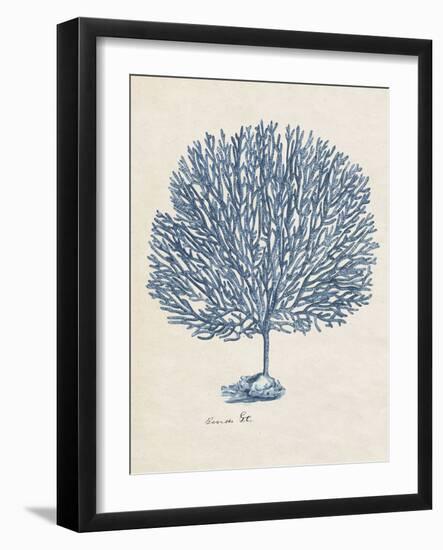 Sea Coral Study III-null-Framed Art Print