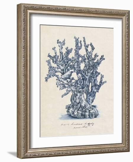 Sea Coral Study IV-null-Framed Art Print