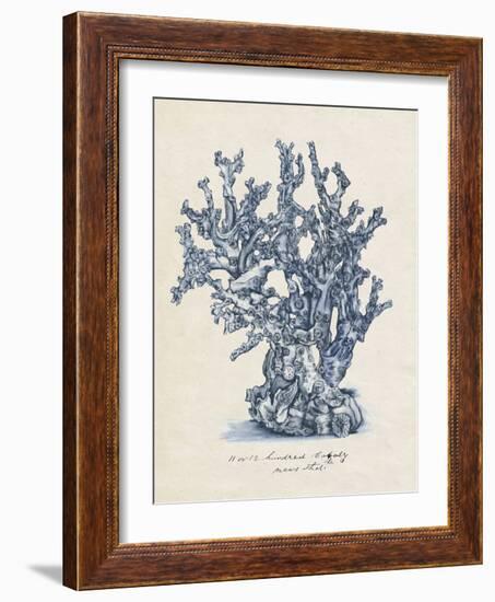 Sea Coral Study IV-null-Framed Art Print