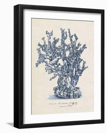 Sea Coral Study IV-null-Framed Art Print