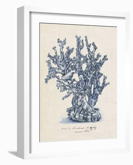 Sea Coral Study IV-null-Framed Art Print