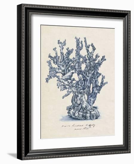 Sea Coral Study IV-null-Framed Art Print