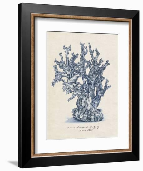 Sea Coral Study IV-null-Framed Premium Giclee Print