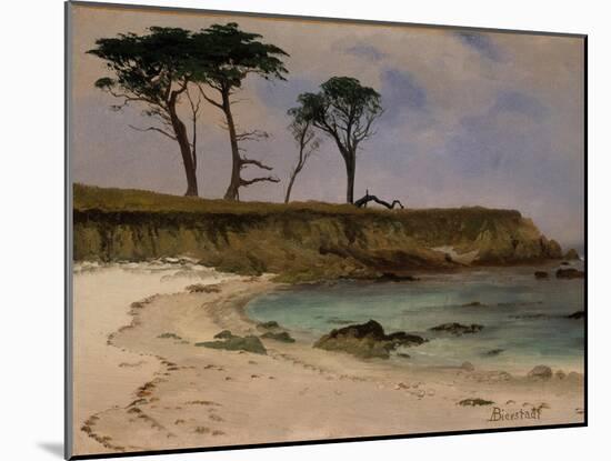 Sea Cove, c.1880-90-Albert Bierstadt-Mounted Giclee Print