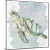 Sea Creatures 3-Kimberly Allen-Mounted Art Print