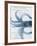 Sea Creatures - Almalfi-Stephanie Monahan-Framed Giclee Print