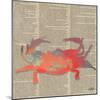 Sea Creatures on Newsprint I-Julie DeRice-Mounted Art Print