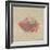 Sea Creatures on Newsprint II-Julie DeRice-Framed Art Print