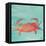 Sea Creatures on Teal I-Julie DeRice-Framed Stretched Canvas