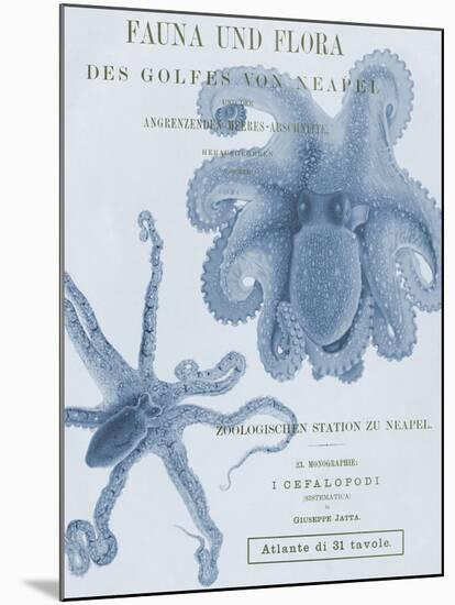 Sea Creatures - Positano-Stephanie Monahan-Mounted Giclee Print
