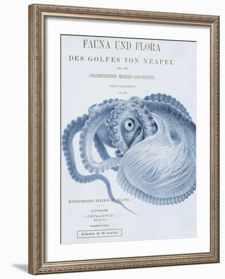 Sea Creatures - Ravello-Stephanie Monahan-Framed Giclee Print
