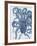 Sea Creatures - Sorrento-Stephanie Monahan-Framed Giclee Print