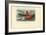 Sea Cucumber, 1863-79-Raimundo Petraroja-Framed Giclee Print