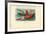 Sea Cucumber, 1863-79-Raimundo Petraroja-Framed Giclee Print