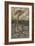 Sea Dragon-Arthur Rackham-Framed Premium Photographic Print