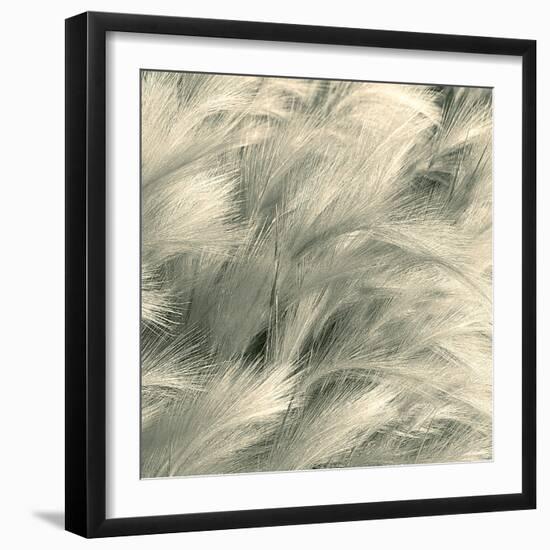 Sea Dune I-Adam Brock-Framed Giclee Print