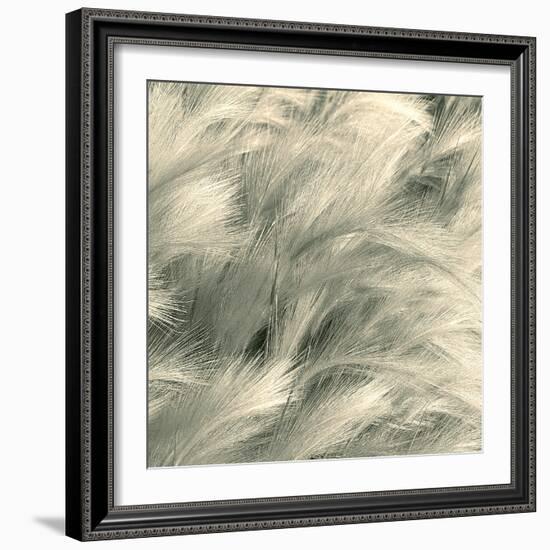 Sea Dune I-Adam Brock-Framed Giclee Print