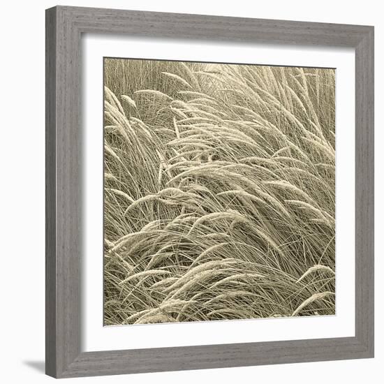 Sea Dune II-Adam Brock-Framed Giclee Print