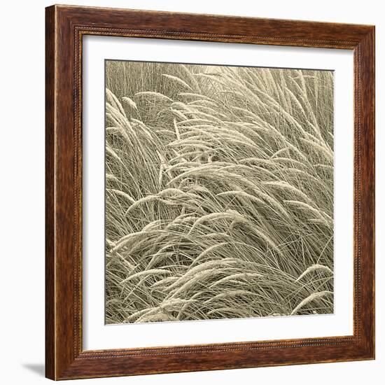 Sea Dune II-Adam Brock-Framed Giclee Print