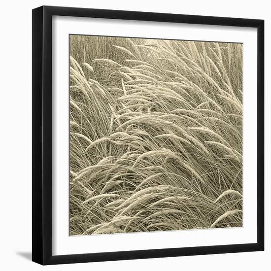 Sea Dune II-Adam Brock-Framed Giclee Print