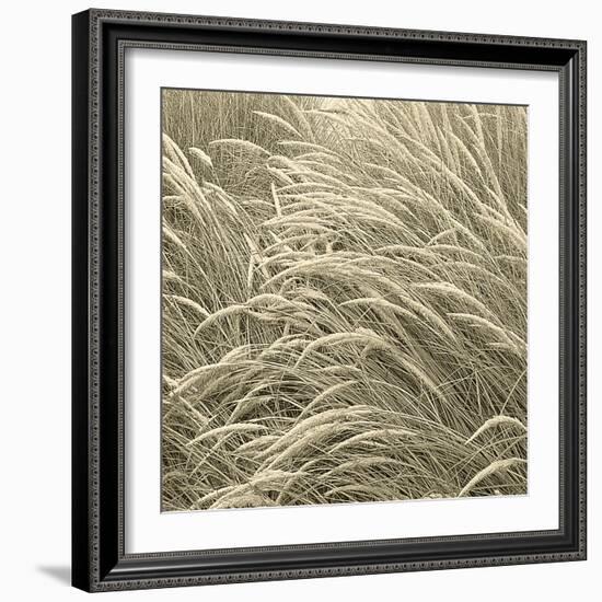 Sea Dune II-Adam Brock-Framed Giclee Print