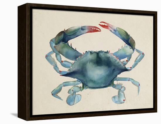 Sea Dweller III-Grace Popp-Framed Stretched Canvas