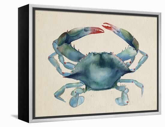 Sea Dweller III-Grace Popp-Framed Stretched Canvas