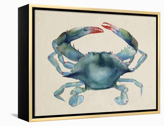 Sea Dweller III-Grace Popp-Framed Stretched Canvas