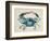 Sea Dweller III-Grace Popp-Framed Premium Giclee Print