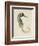 Sea Dweller VI-Grace Popp-Framed Premium Giclee Print