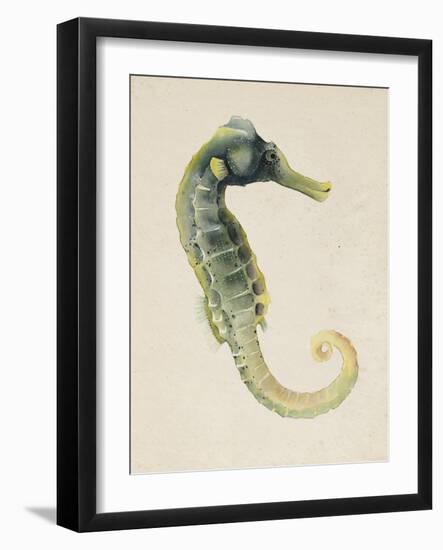 Sea Dweller VI-Grace Popp-Framed Art Print