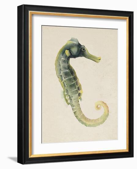 Sea Dweller VI-Grace Popp-Framed Art Print