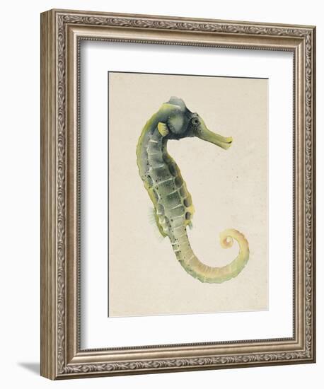 Sea Dweller VI-Grace Popp-Framed Art Print