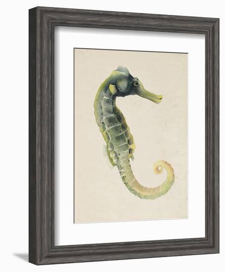 Sea Dweller VI-Grace Popp-Framed Art Print