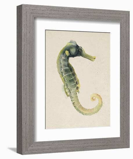 Sea Dweller VI-Grace Popp-Framed Art Print