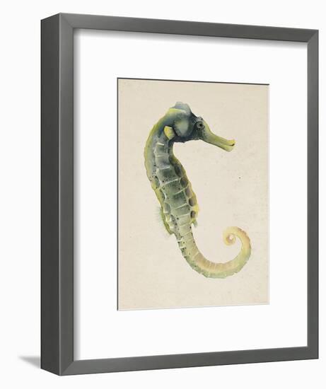 Sea Dweller VI-Grace Popp-Framed Art Print